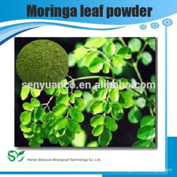 High quality pure natural Moringa leaf powder